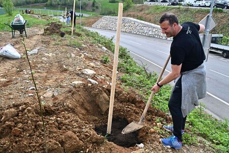 Ob dnevu zemlje sadili lipe (2)